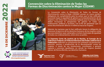 Convención sobre la Eliminación de Todas las Formas de Discriminación contra la Mujer (CEDAW)