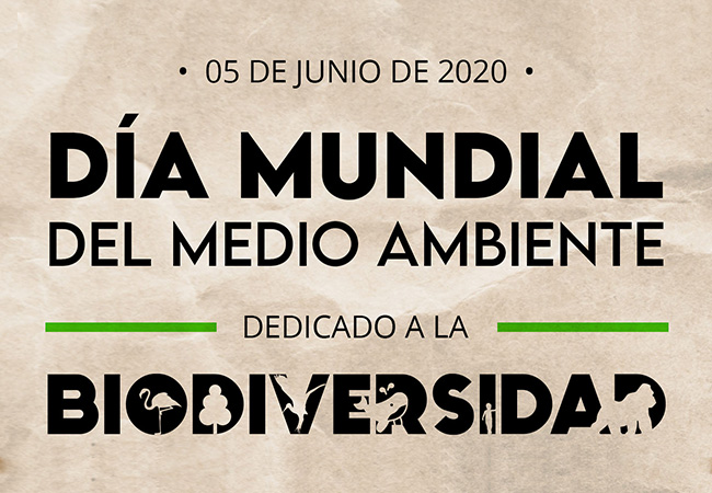 Día Mundial del Medio Ambiente