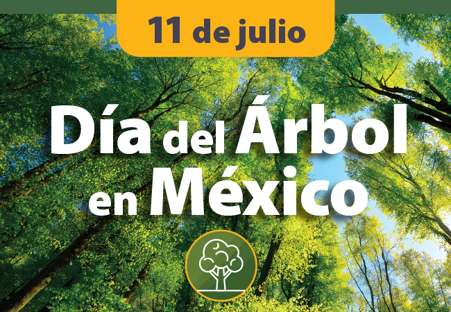Día del árbol en México
