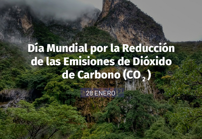 Día Mundial por la Reducción de la Emisiones de CO2