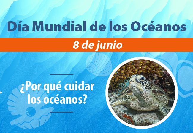 Día Mundial de los Océanos