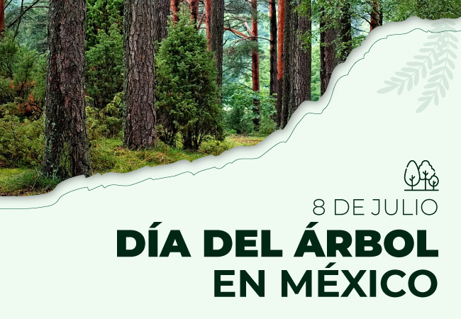 Día del Árbol en México
