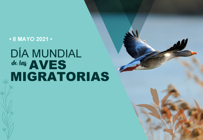 Día Mundial de las Aves Migratorias