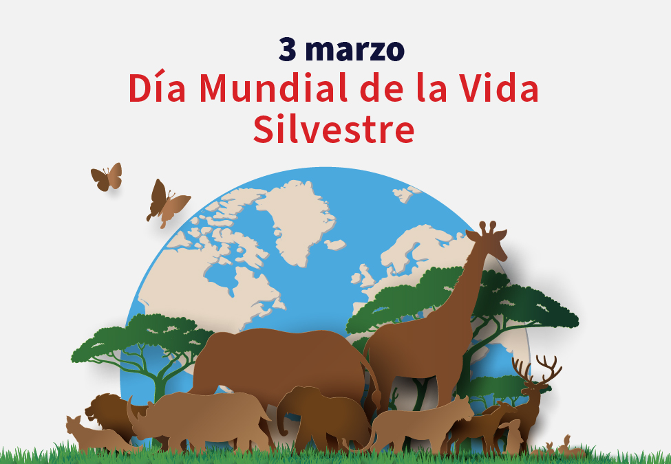 Día Mundial de la Vida Silvestre
