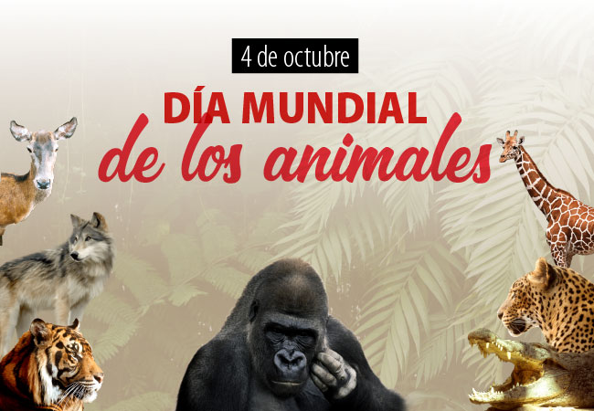 Día mundial de los animales