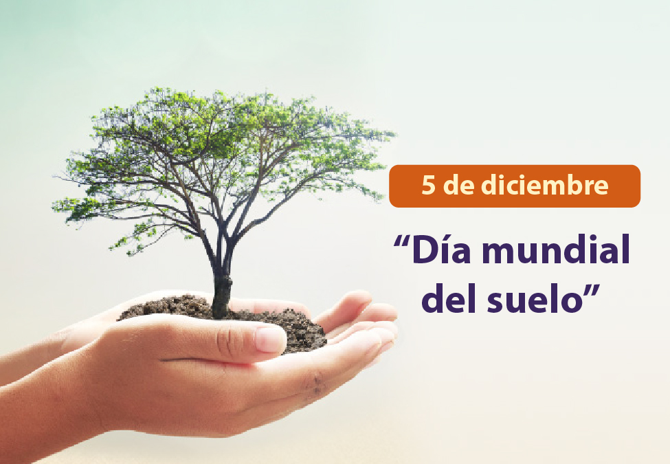 Día mundial del suelo