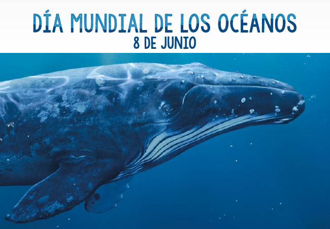 Día mundial de los océanos