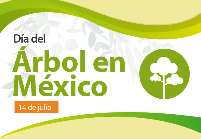 Día del Árbol en México
