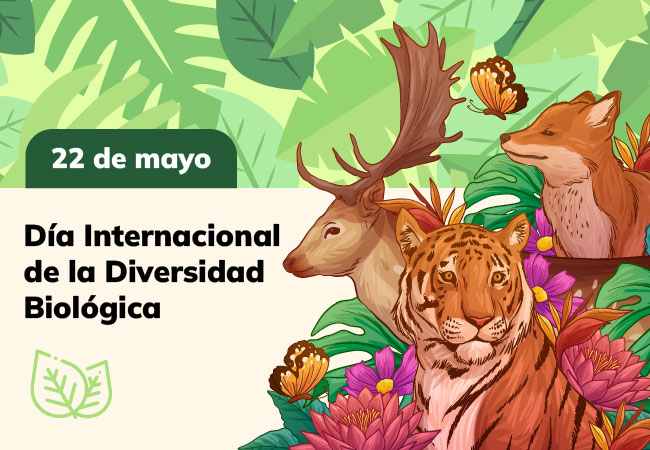 Día Internacional de la Diversidad Biológica