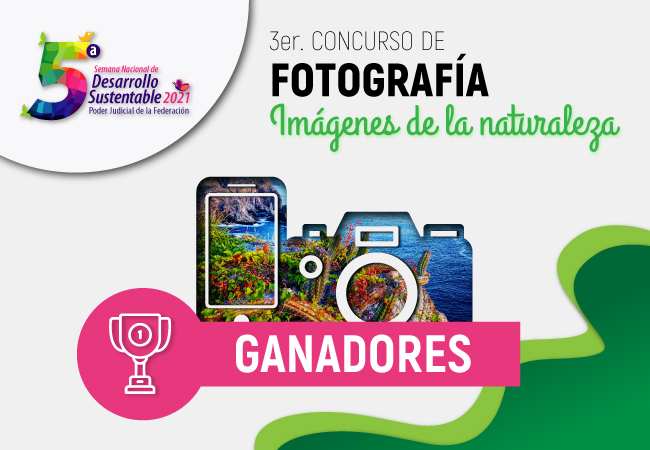 Ganadores 3er. concurso de fotografía