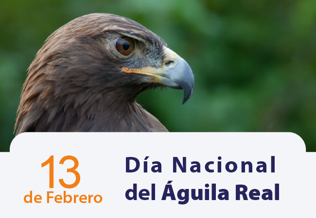 Día Nacional del Águila Real