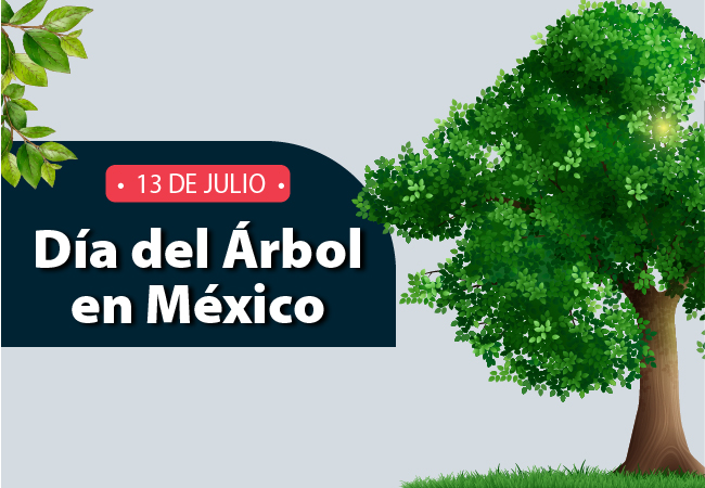 Día del árbol