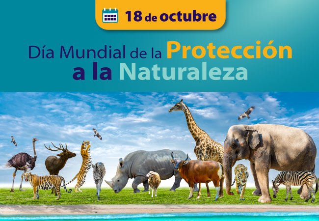 Día internacional del Aire Puro