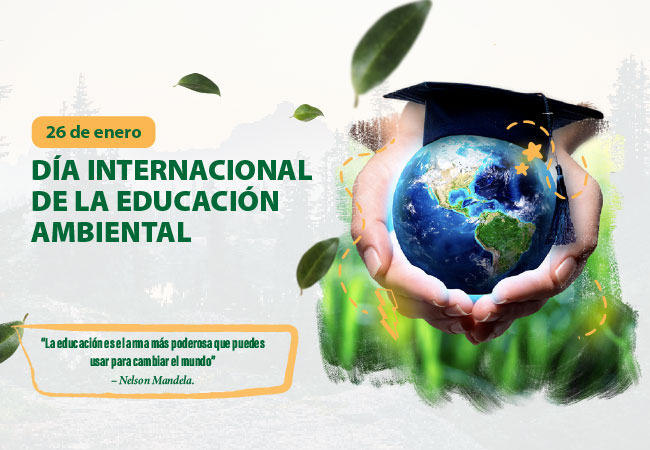 Día Internacional de la educación ambiental