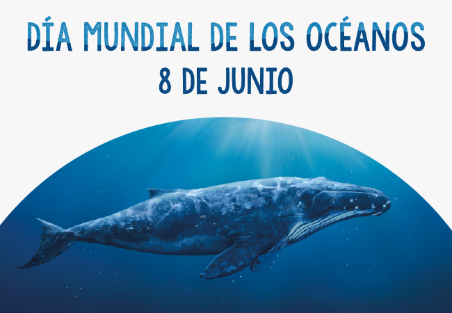 Día Mundial de los Océanos