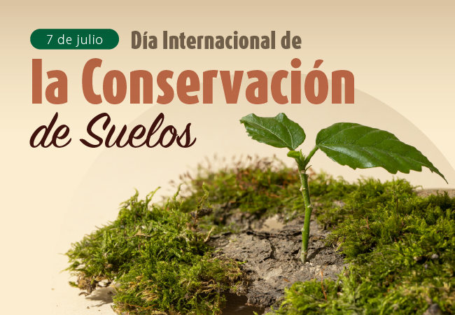 Día Internacional de la Conservación de los suelos
