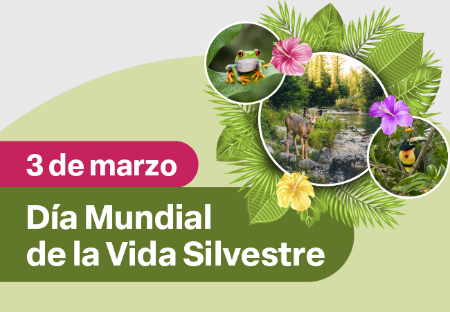 Día Mundial de la Vida Silvestre