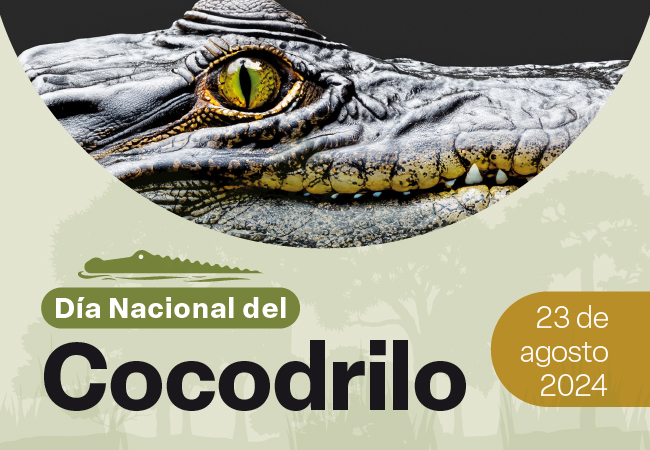 Día Nacional del cocodrilo