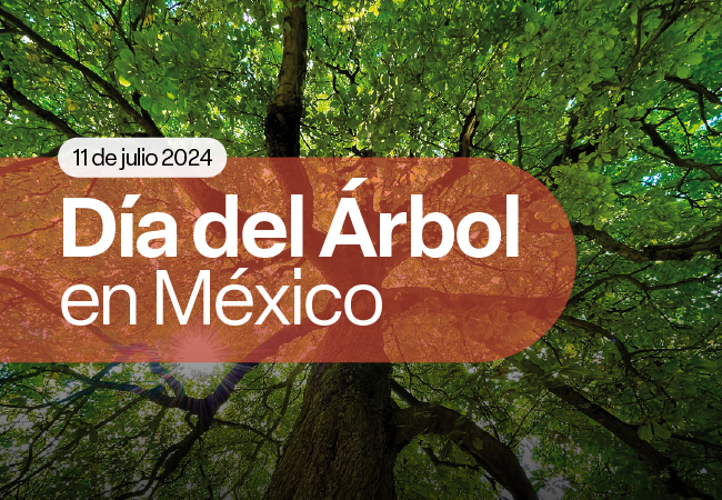 Día del Árbol en México