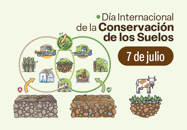 Día Internacional de la Conservación de los Suelos