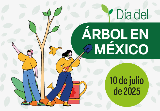 Día del Árbol en México
