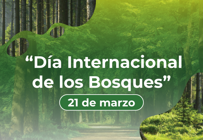 Día Internacional de los Bosques