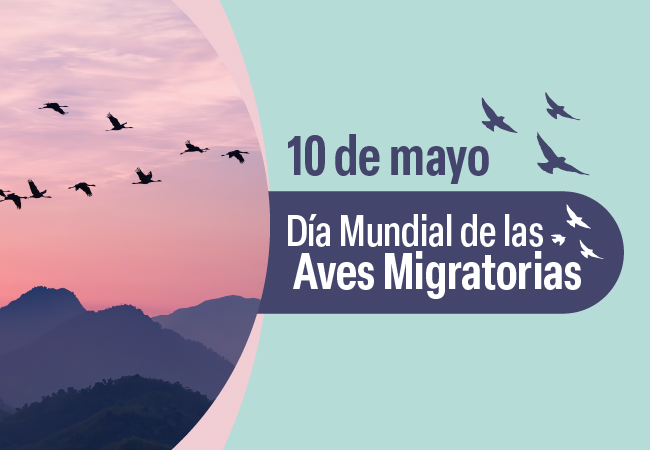 Día Mundial de las Aves Migratorias