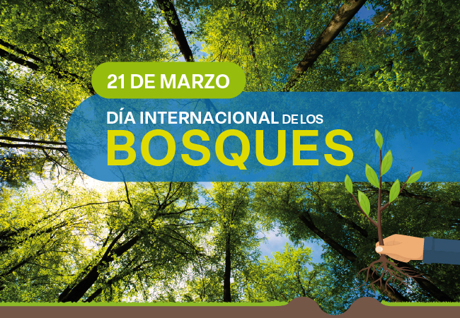 Día Internacional de los Bosques