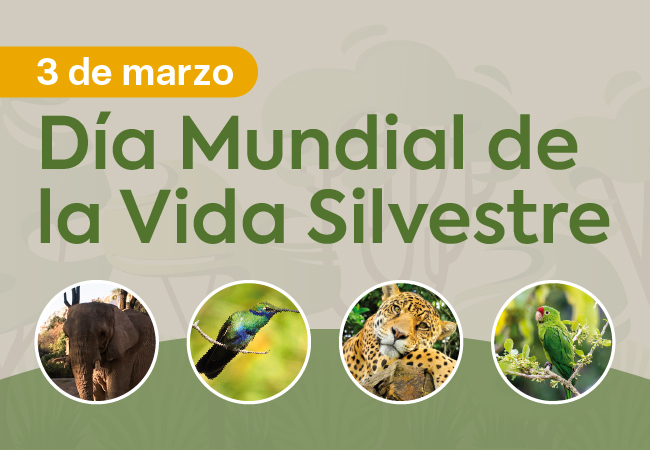 Día Mundial de la Vida Silvestre
