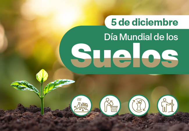 Día Mundial de los Suelos