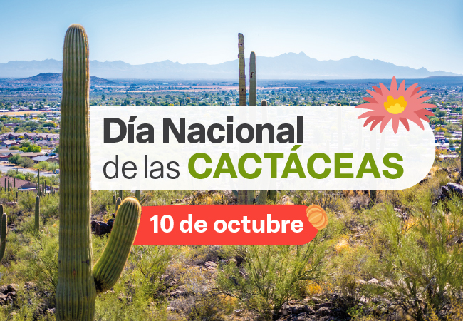Día Nacional de las Cactáceas