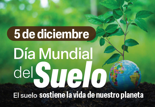 Día Mundial del Suelo