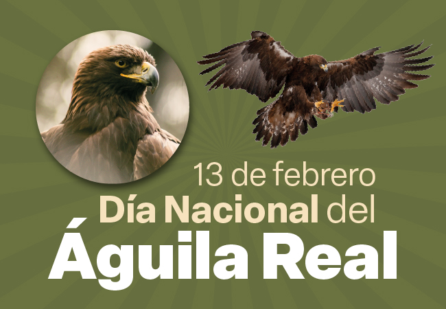 Día Nacional del Águila Real