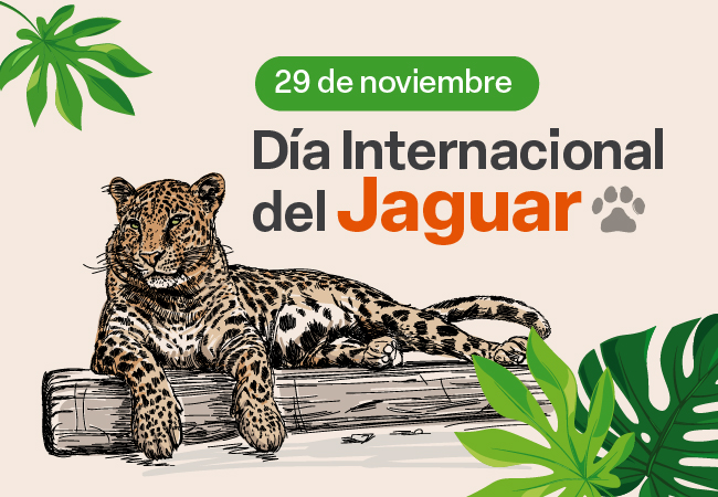 Día Internacional del Jaguar