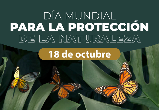 Día Mundial para la Protección de la Naturaleza