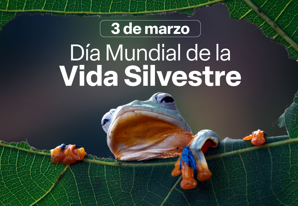 Día Mundial de la Vida Silvestre