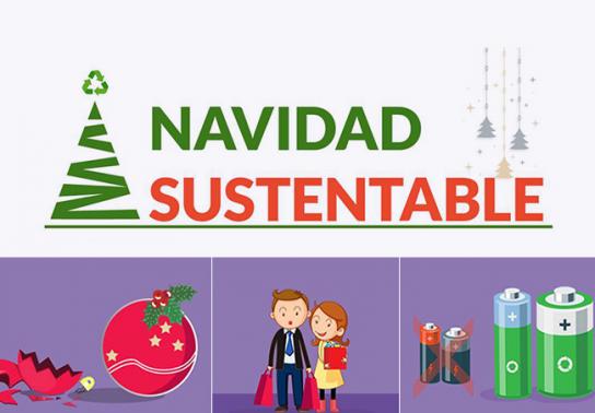 Navidad sustentable