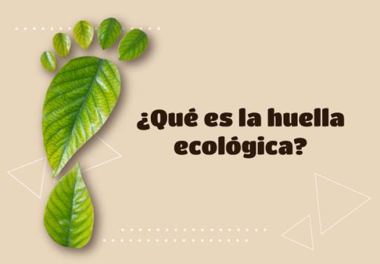 Qué es la huella ecológica?