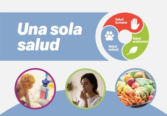 Una sola salud