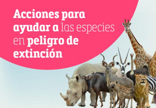 Acciones para ayudar a las especies en peligro de extinción