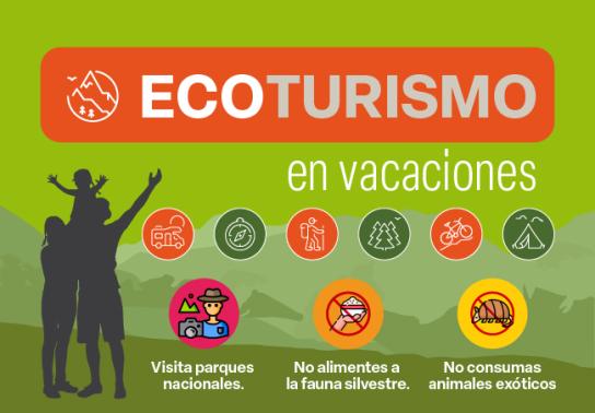 Recomendaciones para practicar Ecoturismo en vacaciones