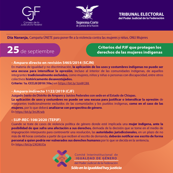 Criterios del PJF que protegen los derechos de las mujeres indígenas