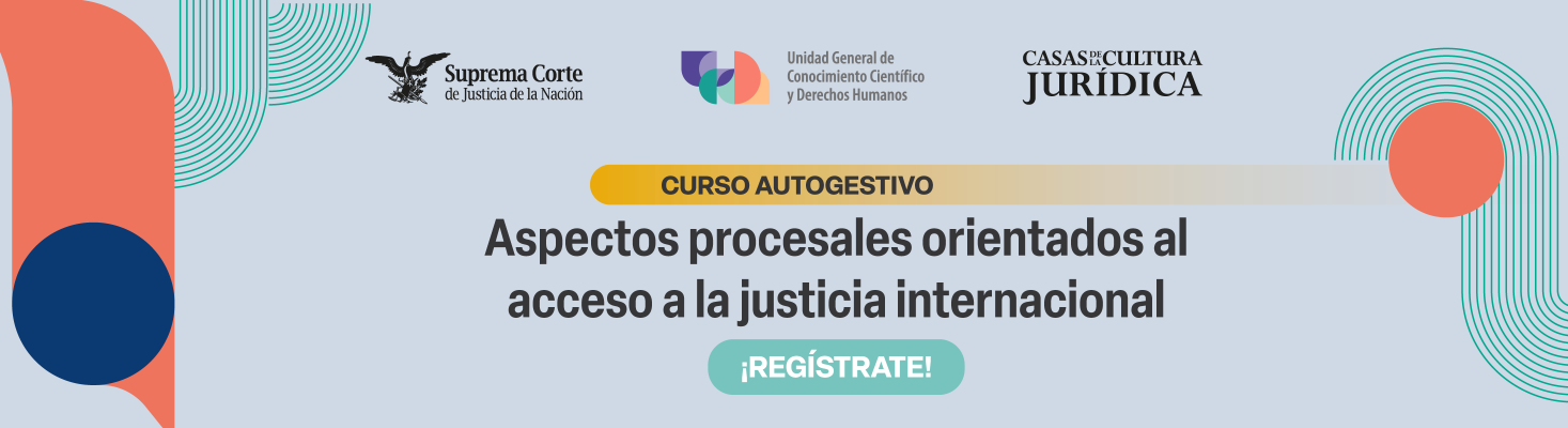 Más detalles sobre el Curso Autogestivo: Aspectos procesales orientados al acceso a la justicia internacional 