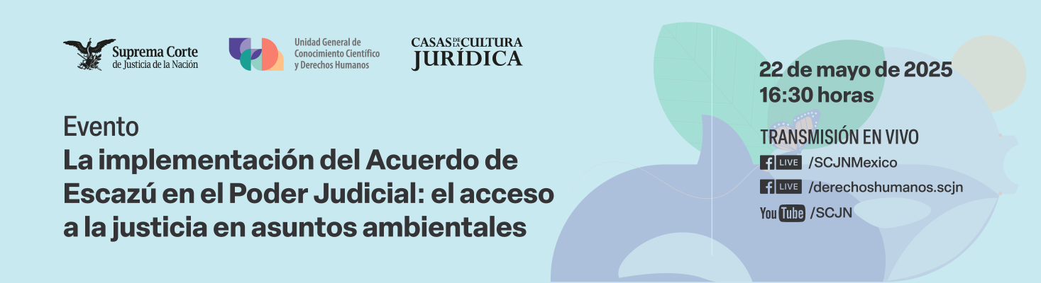 La implementación del Acuerdo de Escazú en el Poder Judicial: el acceso a la justicia en asuntos ambientales