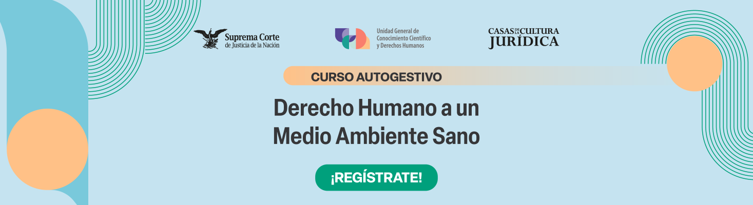 Curso autogestivo: Derecho Humano a un Medio Ambiente Sano 