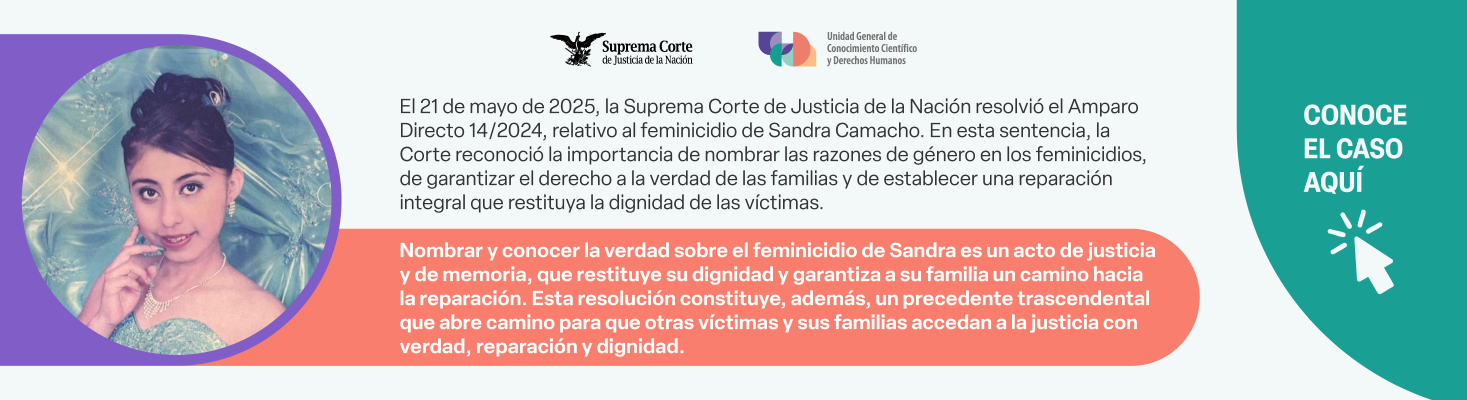 Amparo Directo 14/2024  