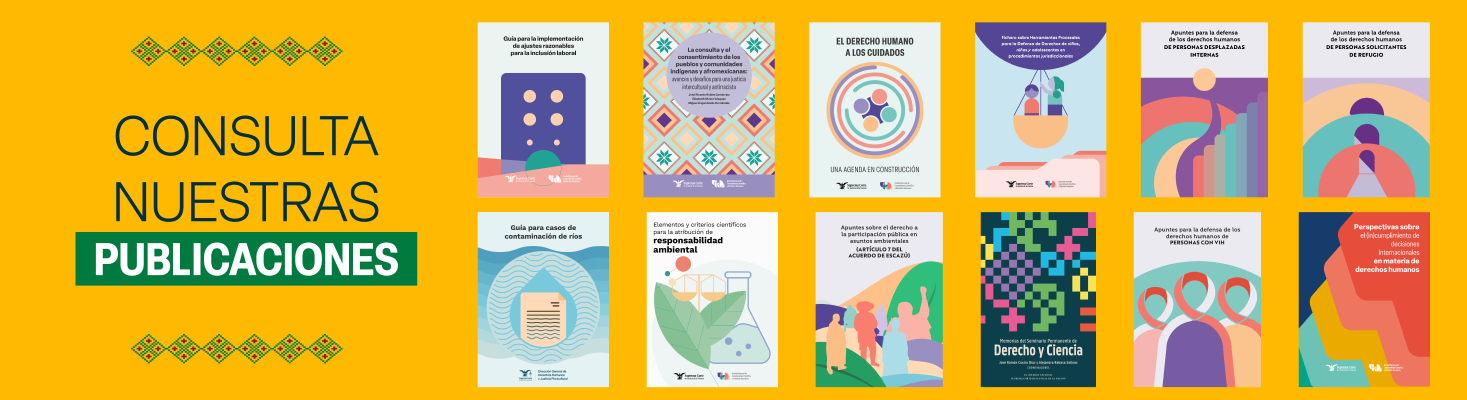 Publicaciones DGDHJP 