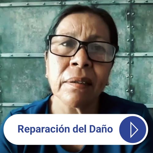 Reparación del Daño