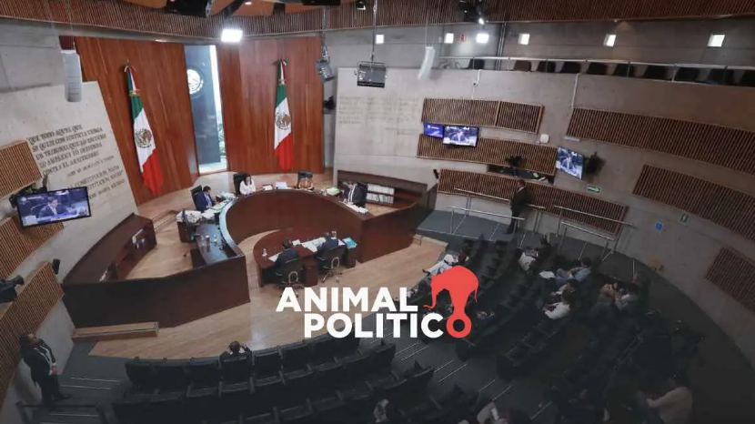 Portada de video