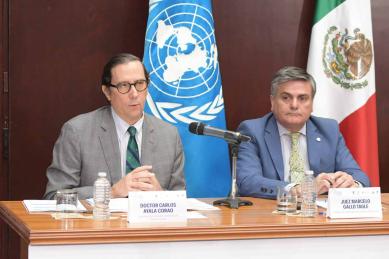 Mesa 3. Independencia Judicial como presupuesto para la protección de Derechos Humanos